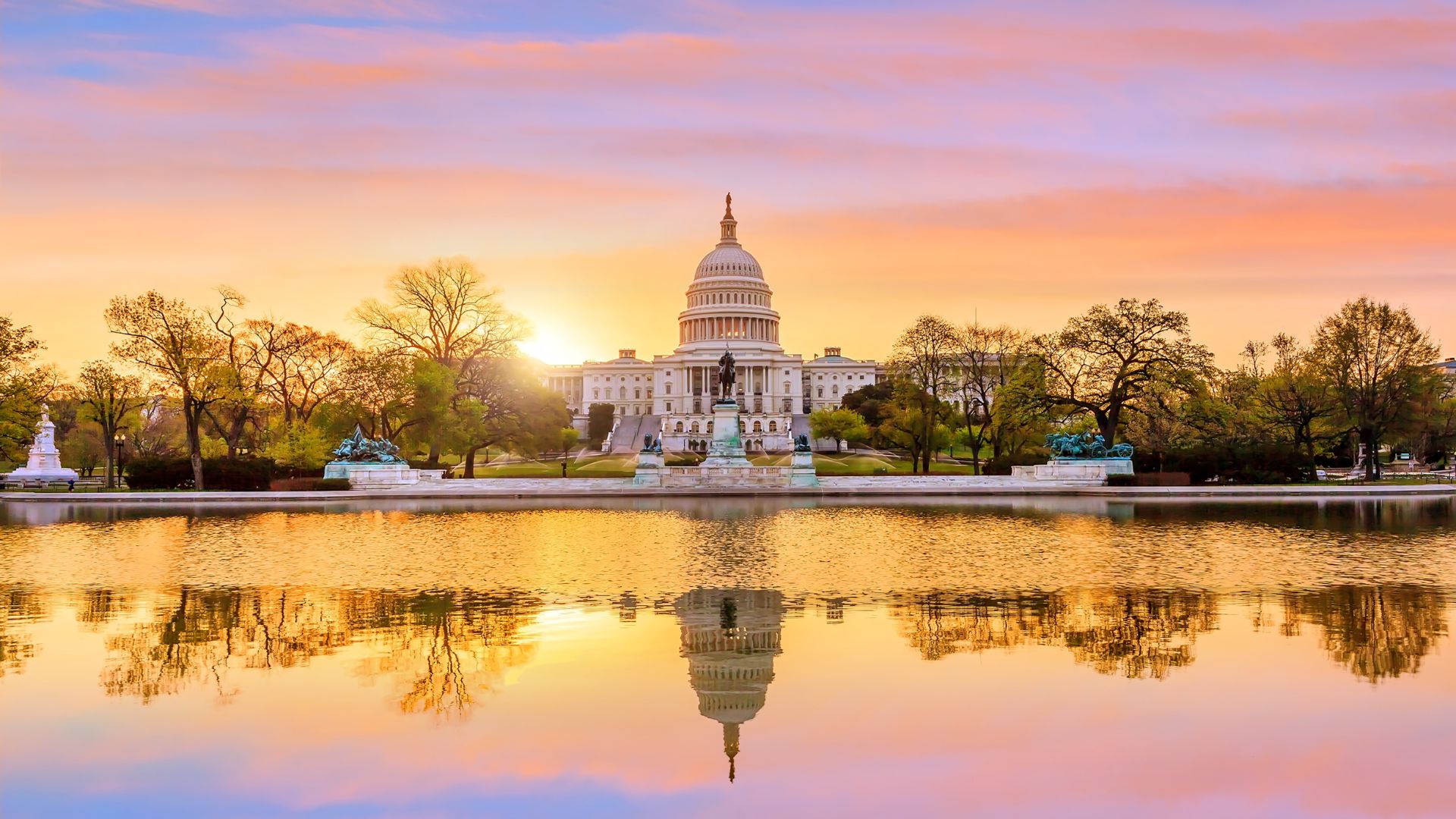 things to do in DC