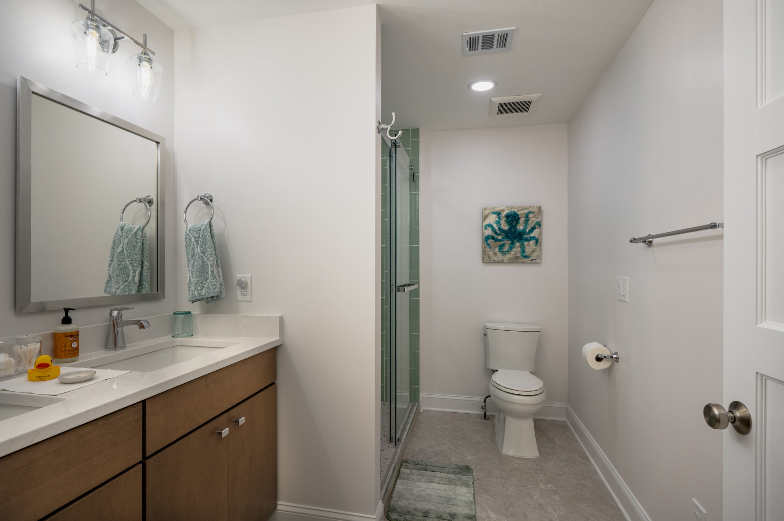 Guest Bathroom Renovation